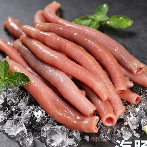 Gaebul Sea Intestines