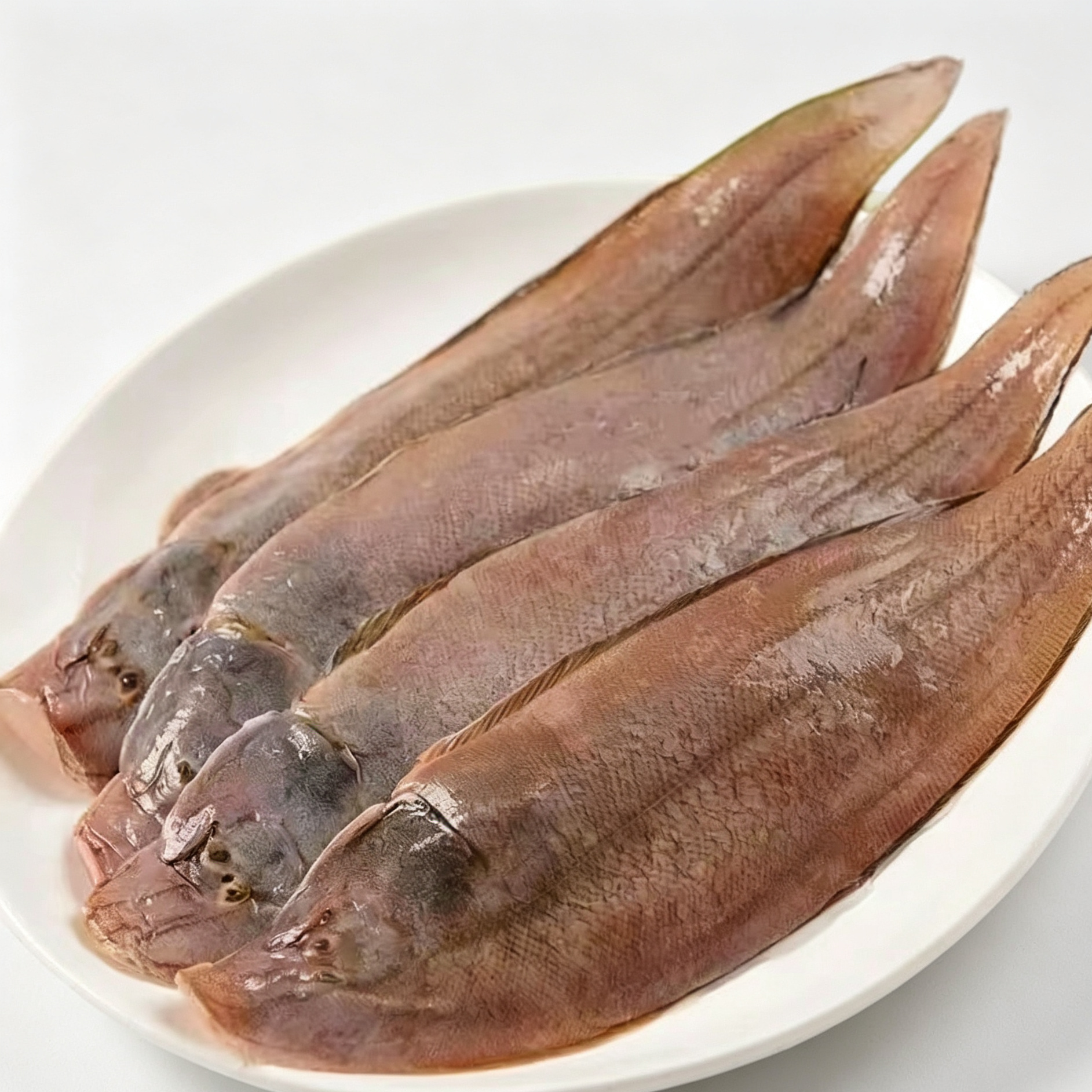 Sole Fish