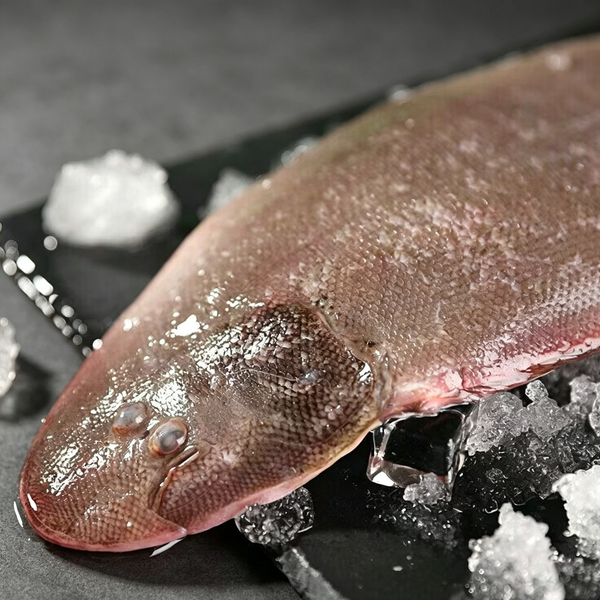 Sole Fish