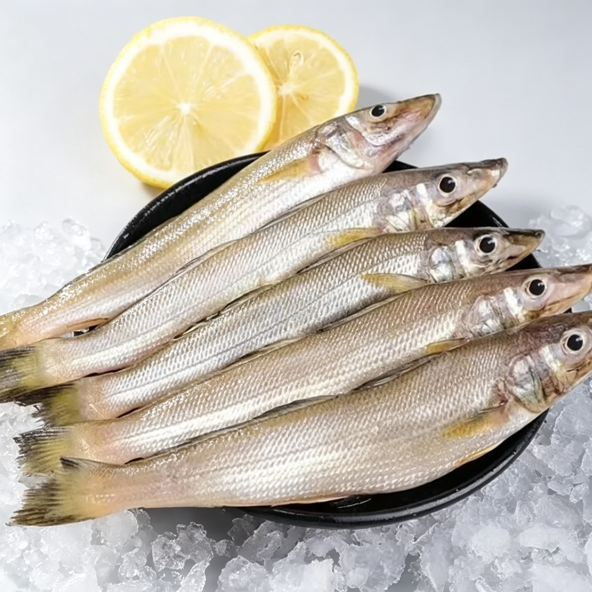 Fresh Smelt