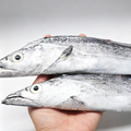 Hairtail Fish