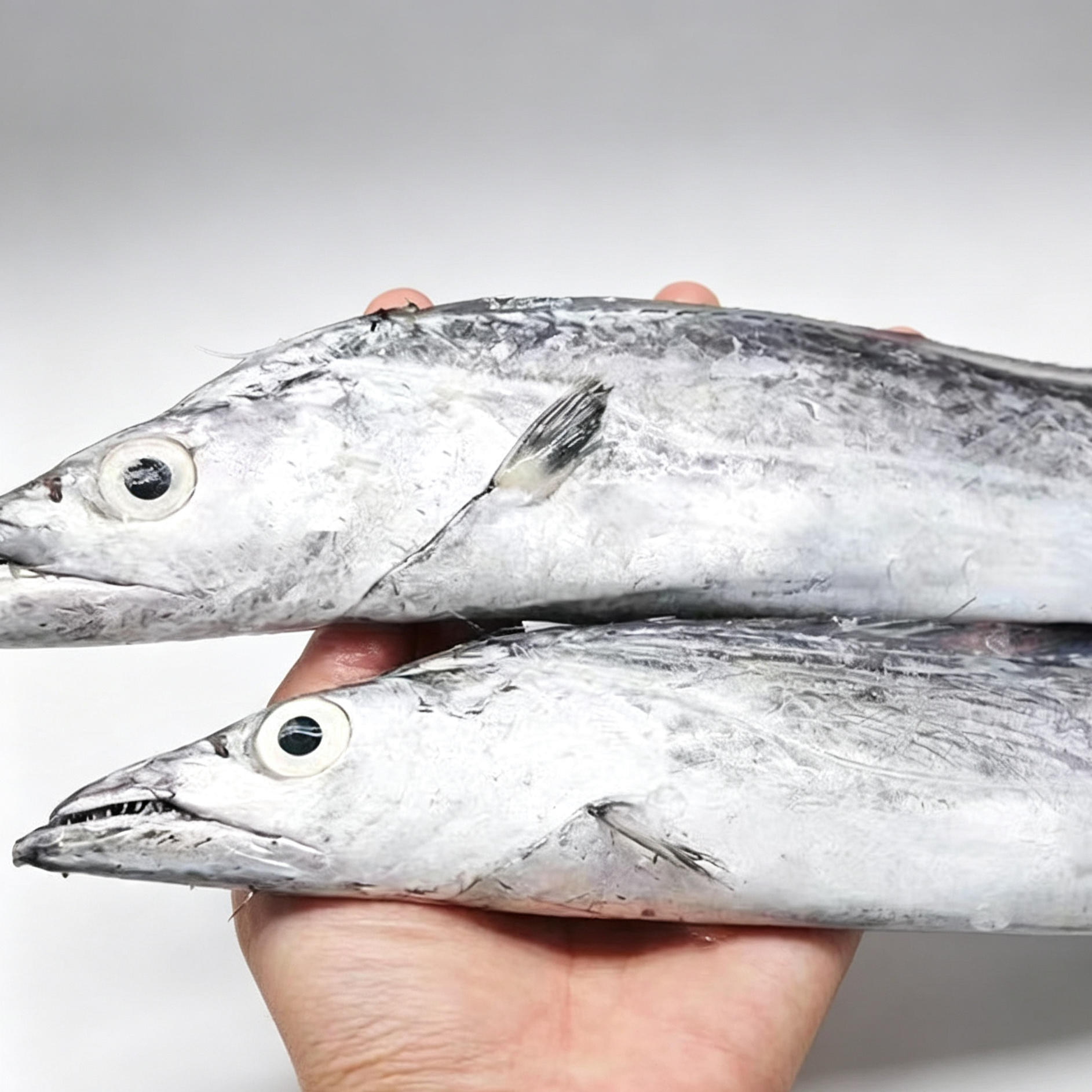 Hairtail Fish