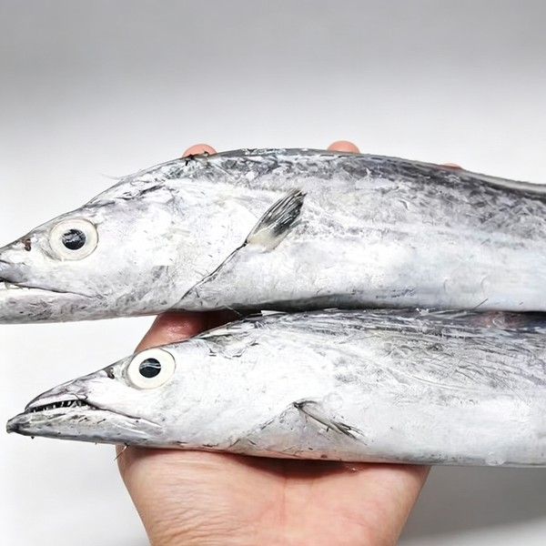 Hairtail Fish