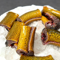Yellow Eel